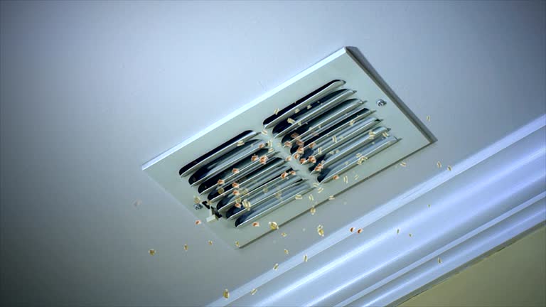 Best Air Duct Cleaning Near Me  in Orida Gulf Coast University, FL