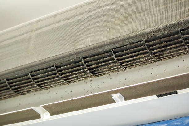 Best HVAC System Cleaning  in Orida Gulf Coast University, FL